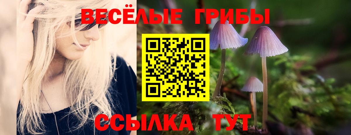 Галлюциногенные грибы Cubensis  Вход с VPN  Галлюциногенные грибы MAGIC MUSHROOMS  наркошоп  Елец 